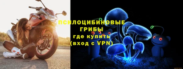 дмт Арсеньев