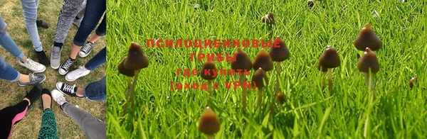дмт Арсеньев