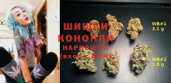 амф Балахна